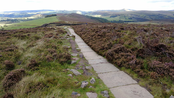 TheRoaches083 TheRoaches083