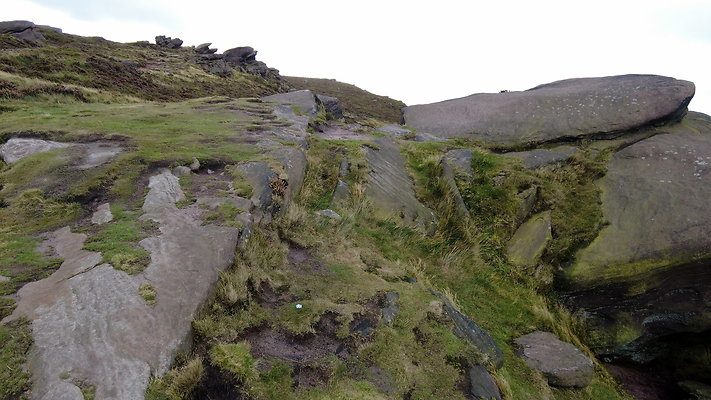 TheRoaches074 TheRoaches074