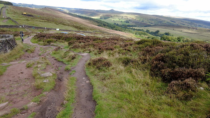 TheRoaches066 TheRoaches066