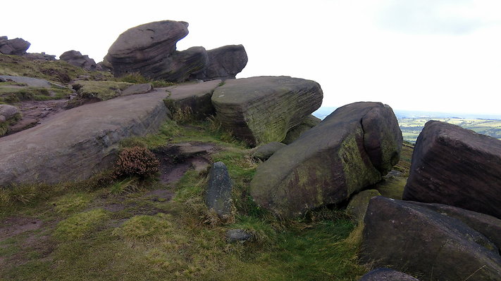 TheRoaches068 TheRoaches068