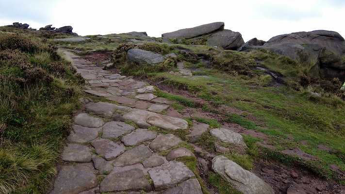 TheRoaches076 TheRoaches076