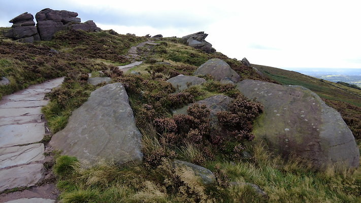 TheRoaches079 TheRoaches079