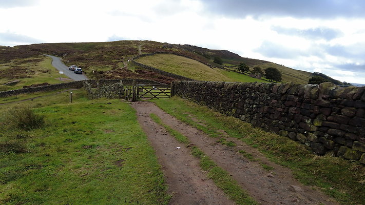 TheRoaches095 TheRoaches095