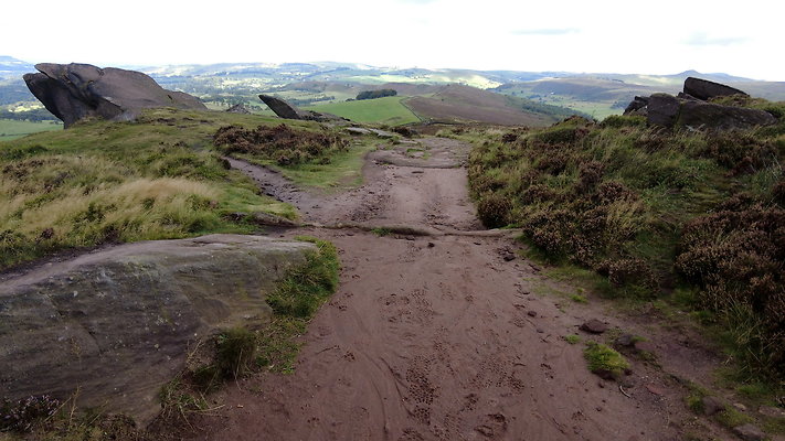 TheRoaches071 TheRoaches071