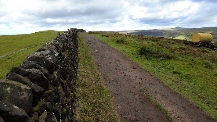 TheRoaches093 TheRoaches093