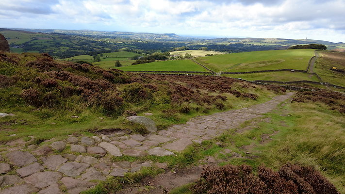 TheRoaches063 TheRoaches063