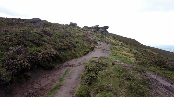 TheRoaches070 TheRoaches070