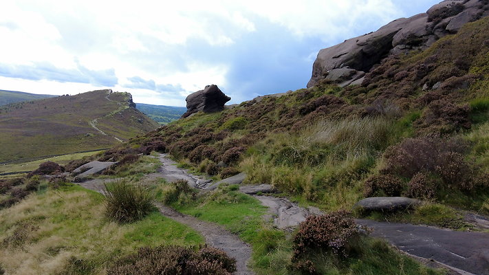 TheRoaches102 TheRoaches102