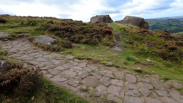 TheRoaches064 TheRoaches064