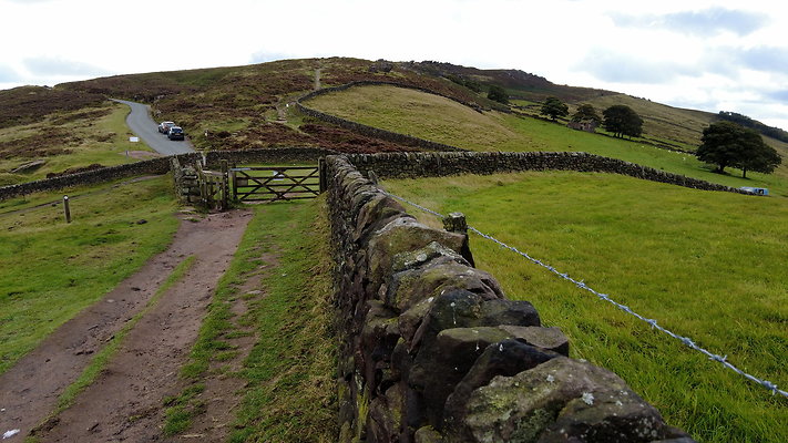 TheRoaches094 TheRoaches094