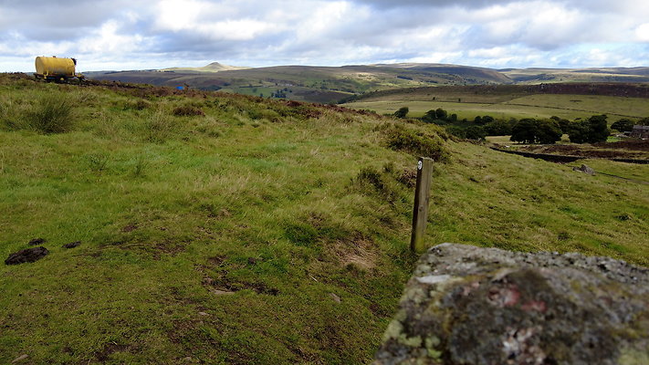 TheRoaches092 TheRoaches092