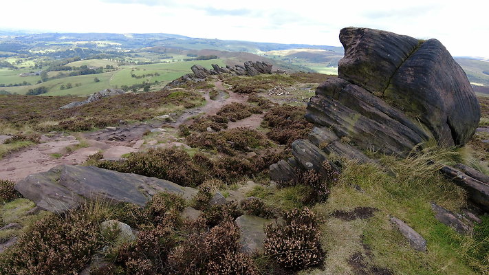 TheRoaches061 TheRoaches061