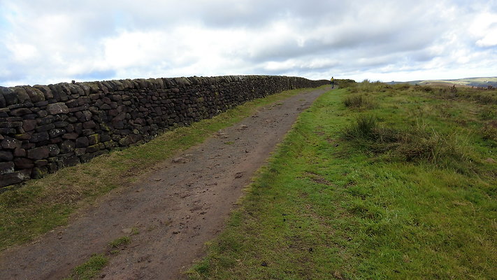 TheRoaches097 TheRoaches097