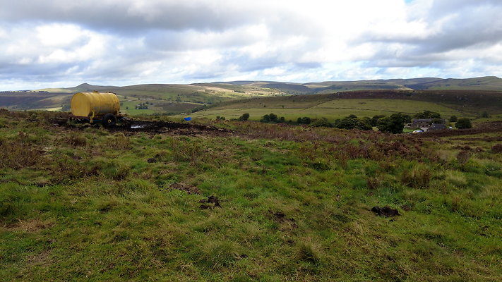 TheRoaches096 TheRoaches096