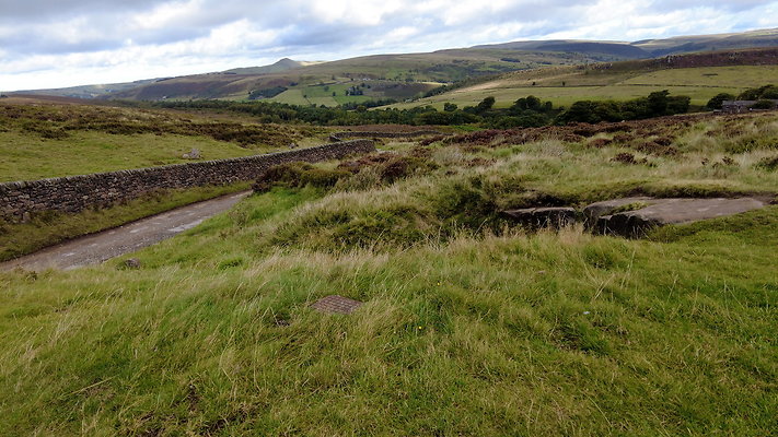 TheRoaches088 TheRoaches088