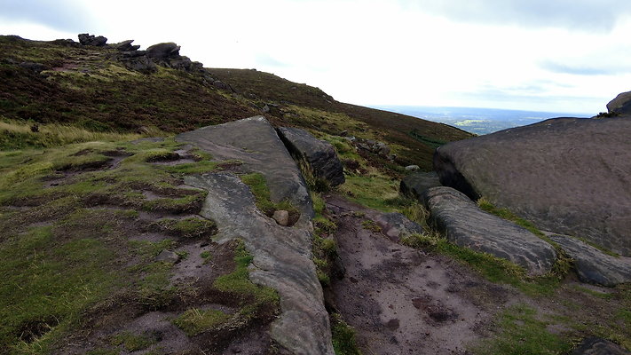 TheRoaches072 TheRoaches072