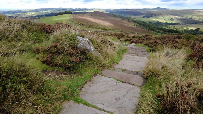 TheRoaches084 TheRoaches084