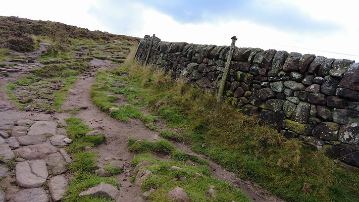 TheRoaches087 TheRoaches087