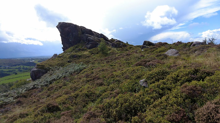 TheRoaches099 TheRoaches099