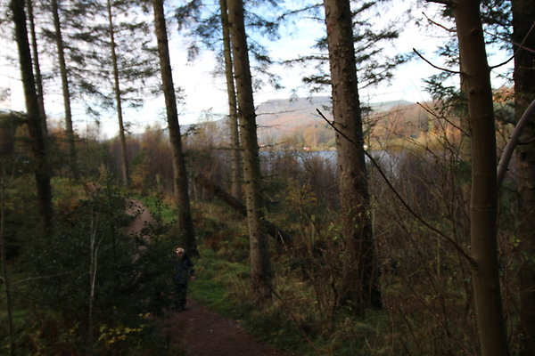 Macclesfield Forest002
