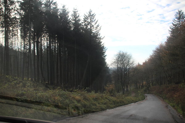 Macclesfield Forest049