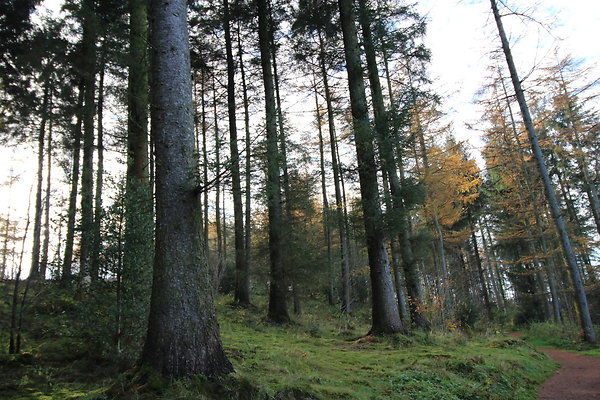 Macclesfield Forest004