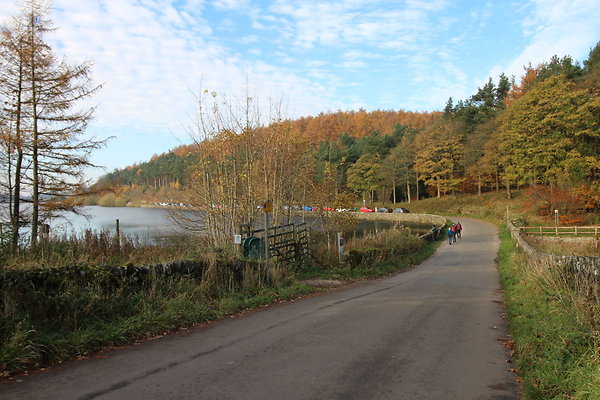 Macclesfield Forest019