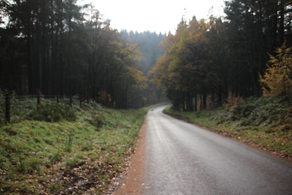 Macclesfield Forest039