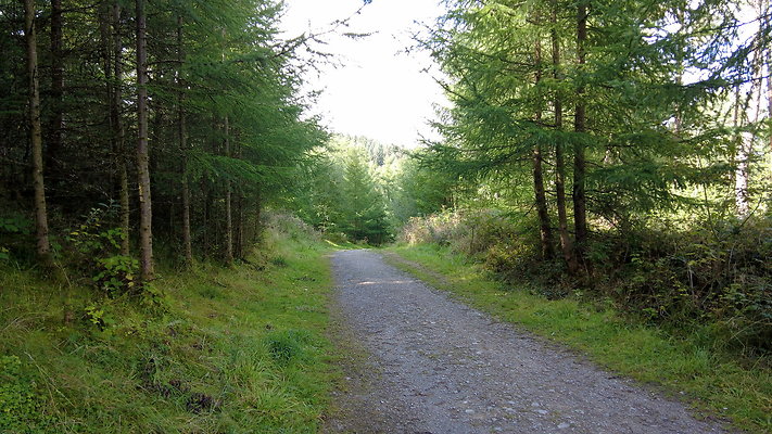 MacclesfieldForest2025023