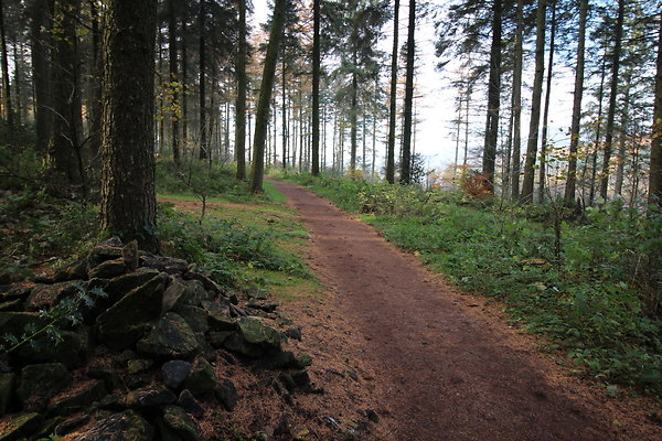 Macclesfield Forest007