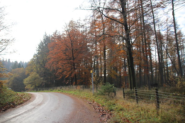 Macclesfield Forest033