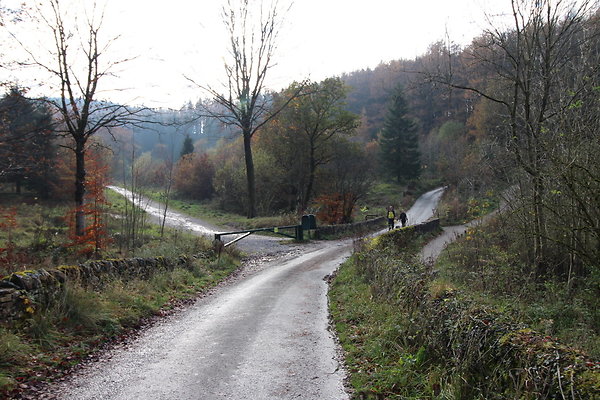Macclesfield Forest015