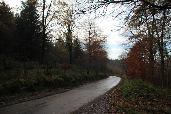 Macclesfield Forest040