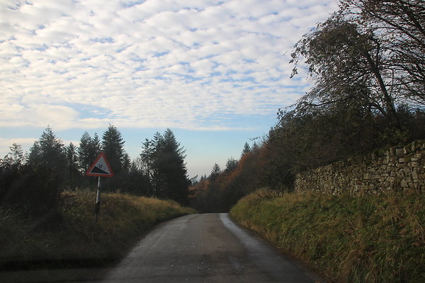 Macclesfield Forest051