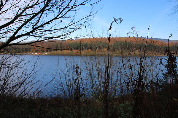 Macclesfield Forest001