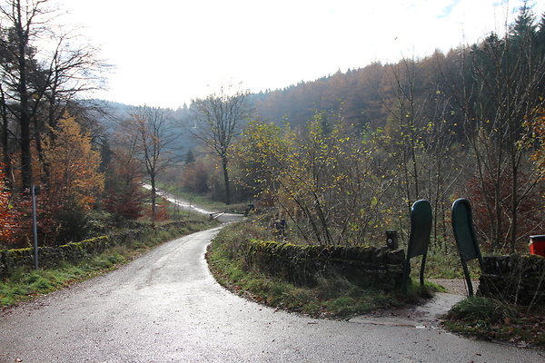 Macclesfield Forest020