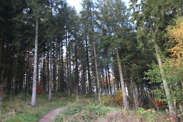 Macclesfield Forest012