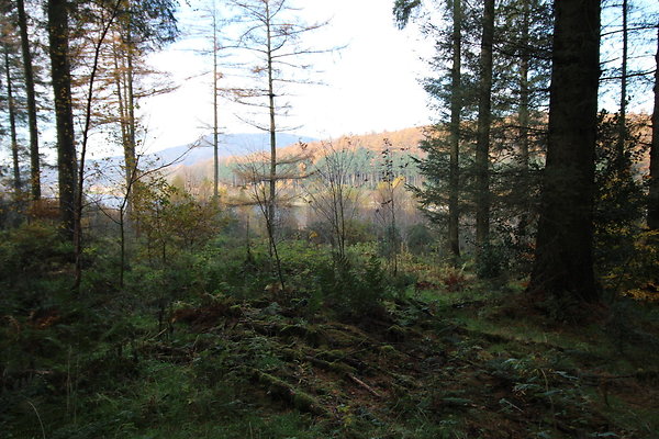 Macclesfield Forest006