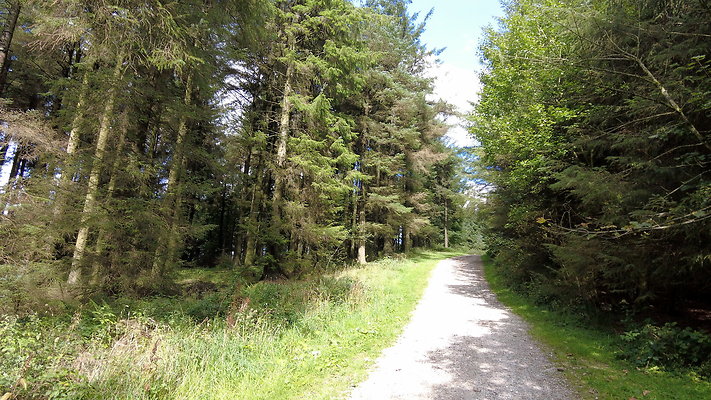 MacclesfieldForest2025064 MacclesfieldForest2025064