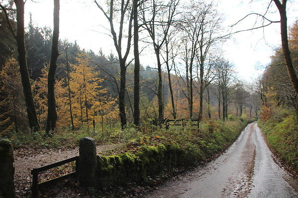 Macclesfield Forest047