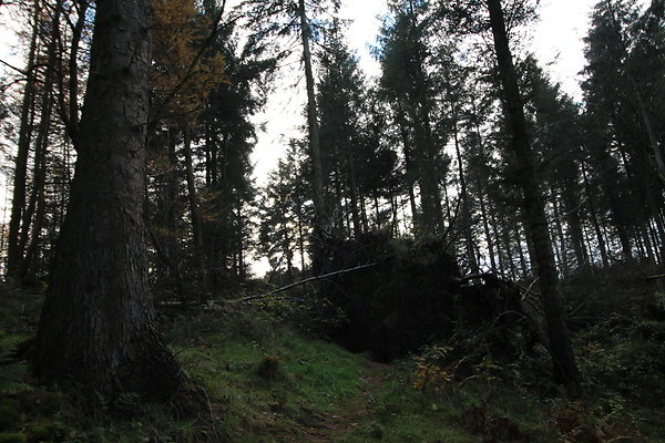Macclesfield Forest003