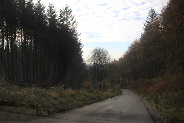 Macclesfield Forest048