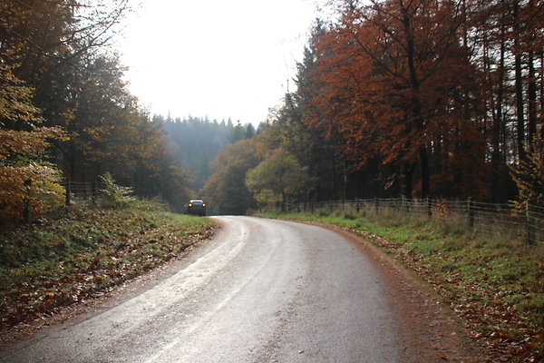 Macclesfield Forest032