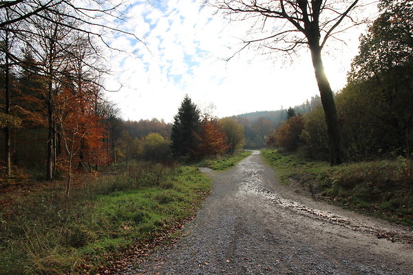 Macclesfield Forest014