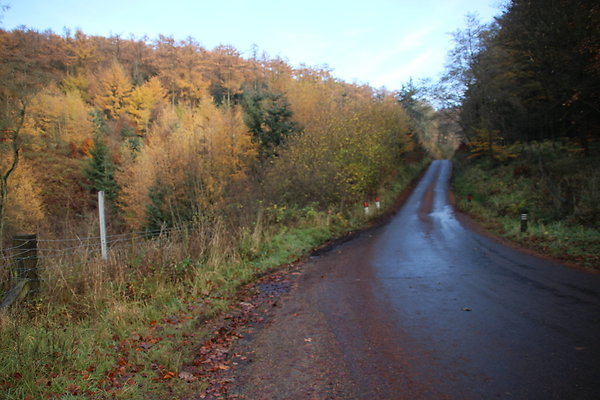 Macclesfield Forest036