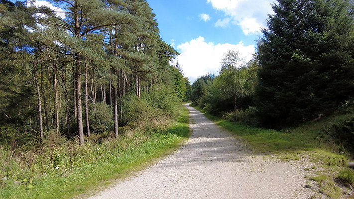 MacclesfieldForest2025059 MacclesfieldForest2025059