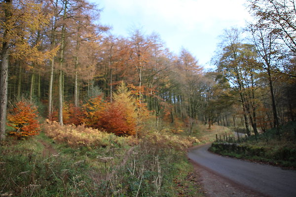 Macclesfield Forest042