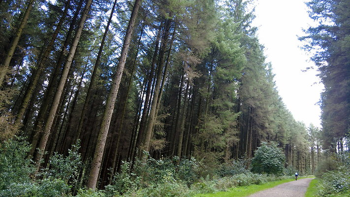 MacclesfieldForest2025056 MacclesfieldForest2025056