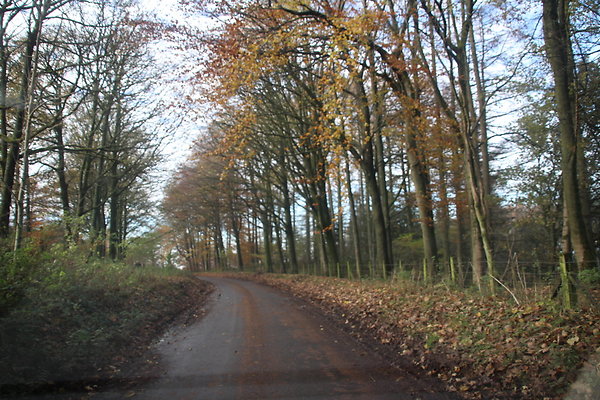 Macclesfield Forest026