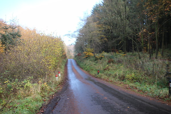 Macclesfield Forest035